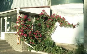 Motel Pid Strihoyu